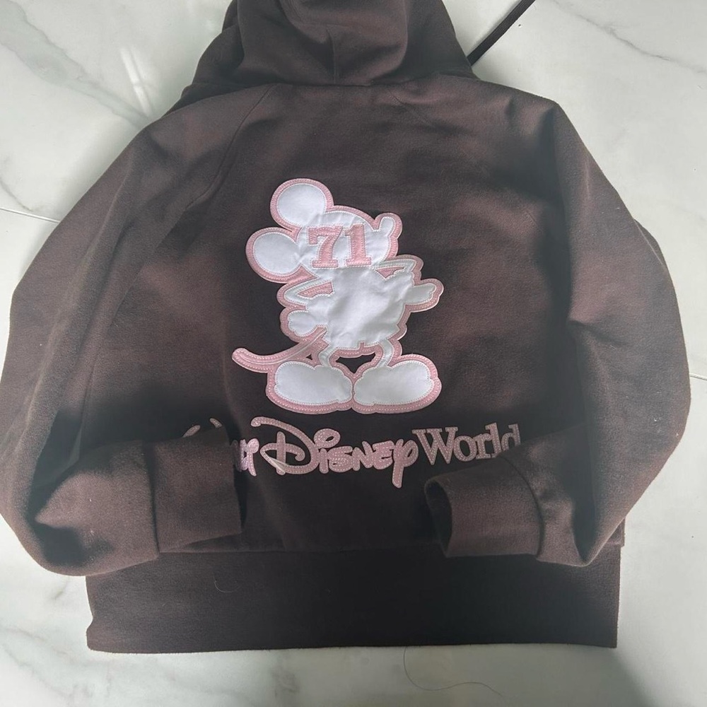 Disney Brown Sweatshirt with Pink Graphic